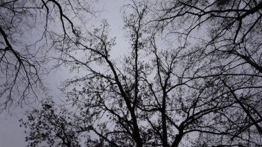 Graffiti Video - Photo by TOSE - Tose, Nook, PAD