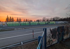 Photo #249463 by iobe1