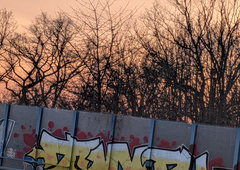 Photo #249465 by Syphilis