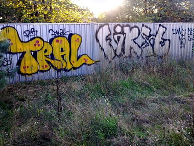 Graffiti Bombing - Photo by TRAL - Tral (2013)