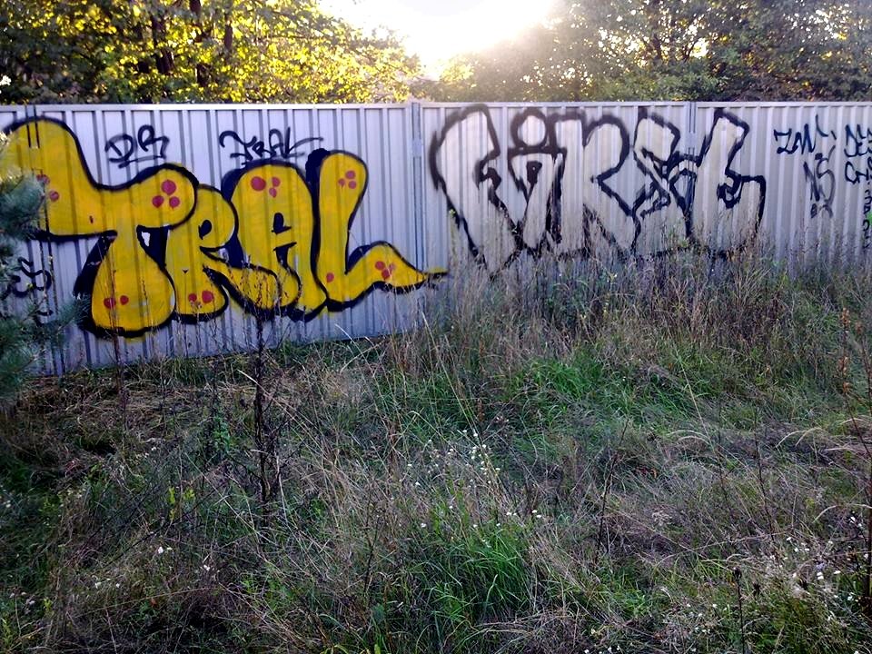 Graffiti Bombing - Photo by TRAL - Tral (2013)