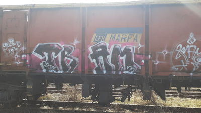 Most Active Members of June 2022