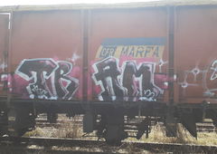 Graffiti Train - Photo by TRAM1 (2022)