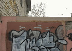 Photo #229268 by Stero