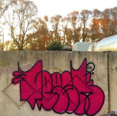 Graffiti Wall - Photo by TRASK - graffiti, flops, throwup