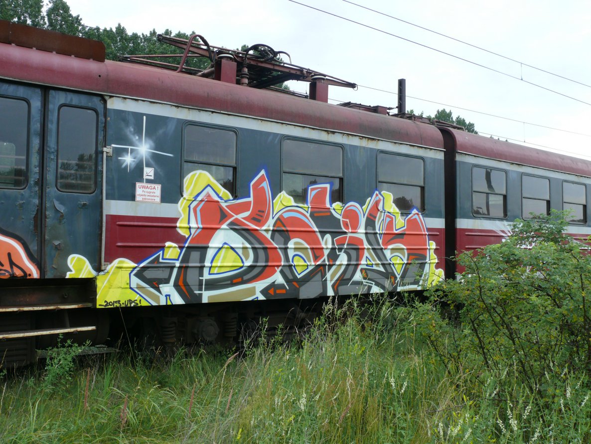 Graffiti Train in Skórka - Photo by TRONER (2013)