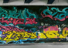 Photo #96702 by KSKINROWSKI