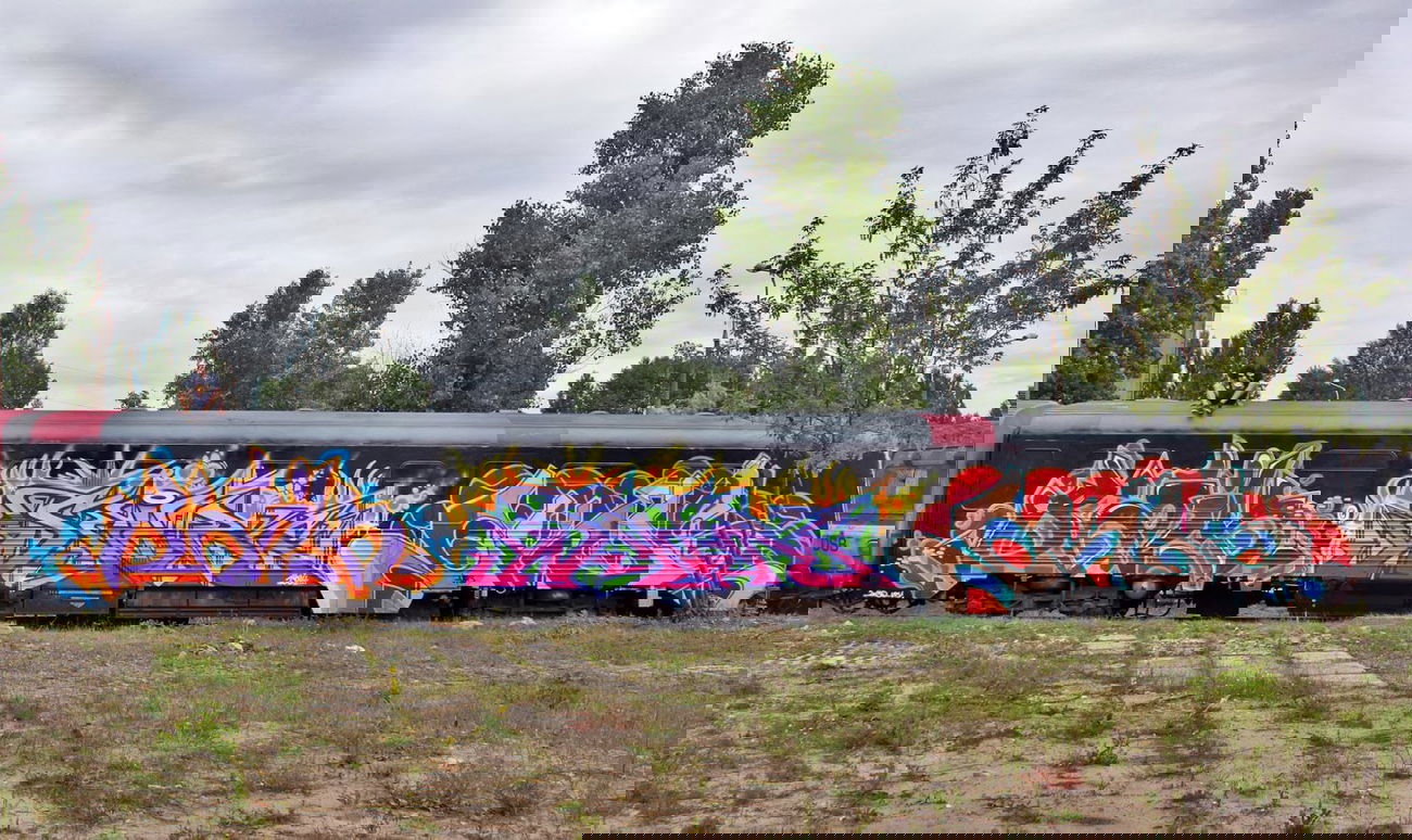 Graffiti Train in Kijaszkowo - Photo by TRONER - Baik, Sedr, Okas (2013)