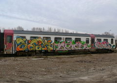 Photo #96704 by KSKINROWSKI