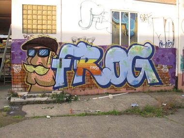 Graffiti Wall - Photo by TSOC - frog, tesok, oh
