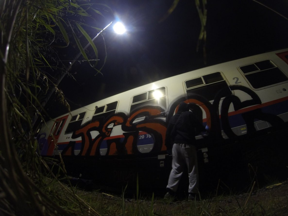 Graffiti Train - Photo by TSOC - vdk