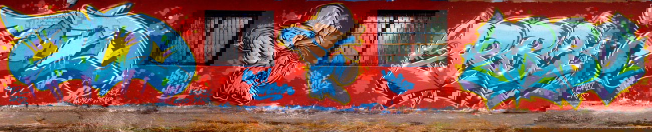 Graffiti Wall - Photo by TURBO - cold, chris, malik (2011)