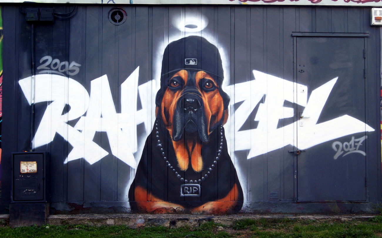 Graffiti Wall - Photo by TURBO (2017)