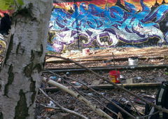 Photo #152034 by Anis