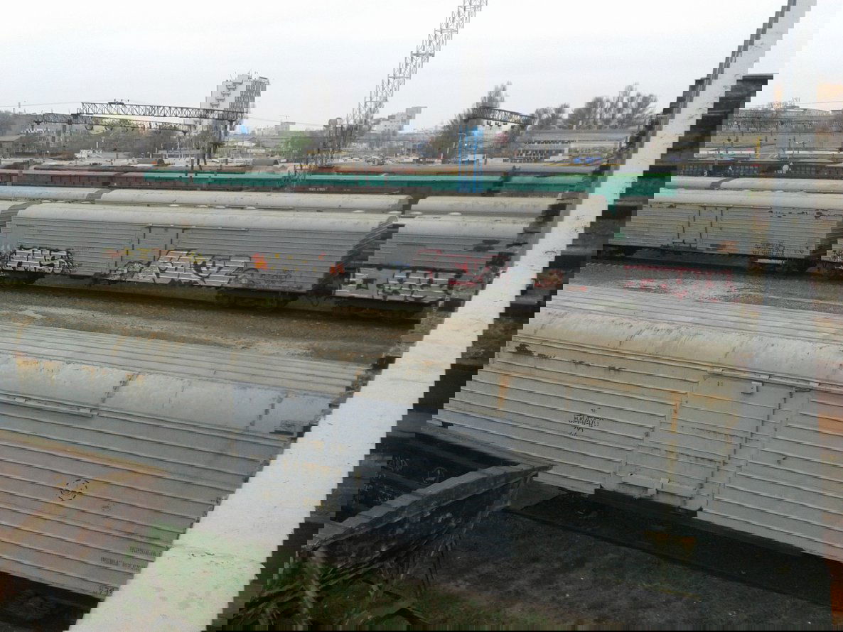 Graffiti Train - Photo by Taemletterz - taem, taemletterz, omk (2014)