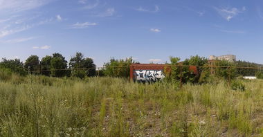 Graffiti Train - Photo by Taemletterz - taem, taemletterz, omk (2014)