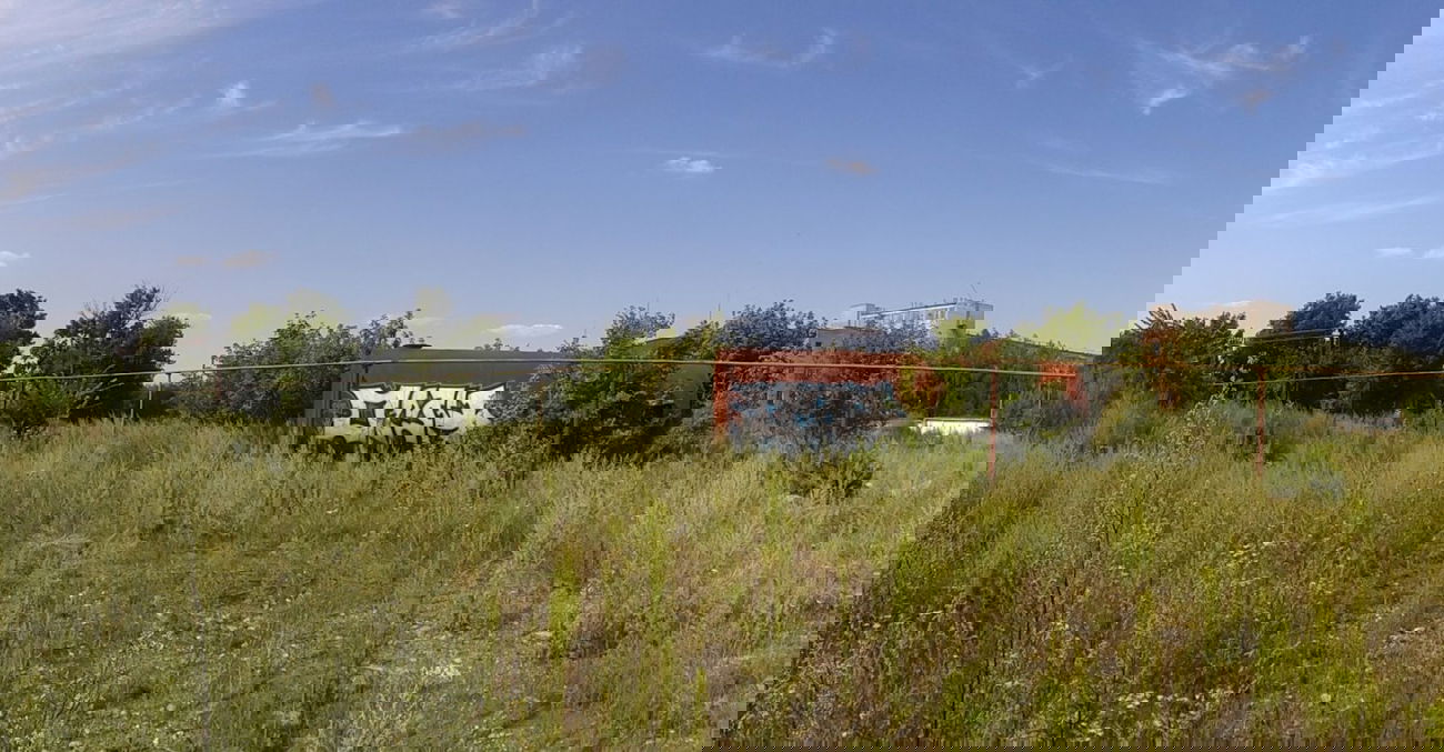 Graffiti Train - Photo by Taemletterz - taem, taemletterz, omk (2014)