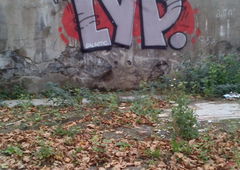 Graffiti Wall in Essen - Photo by TagHagel - LYP, Galactic, 14 (2014)