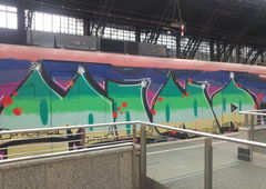 Graffiti Train - Photo by TagHagel (2018)