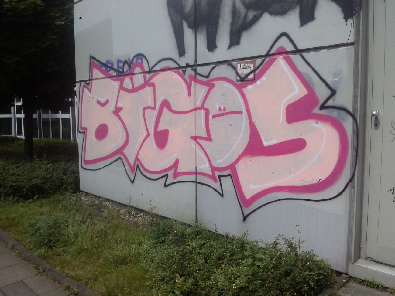 Graffiti Bombing - Photo by TagHagel - bigos, sugar, hs