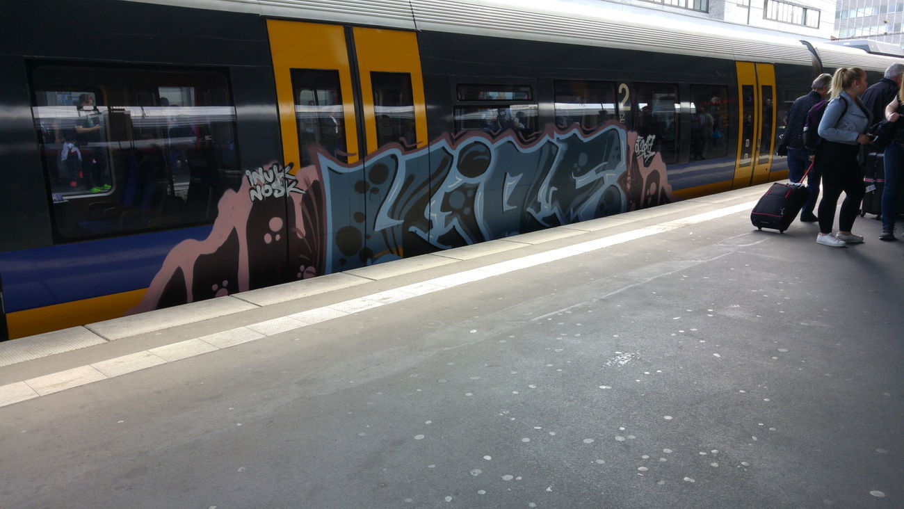 Graffiti Wall - Photo by TagHagel - inuk, noks, essen (2017)