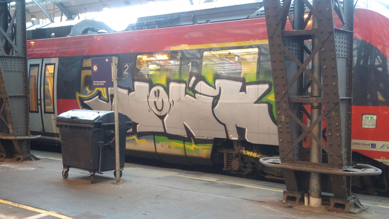 Graffiti Train - Photo by TagHagel - Honk, cologne, köln (2017)