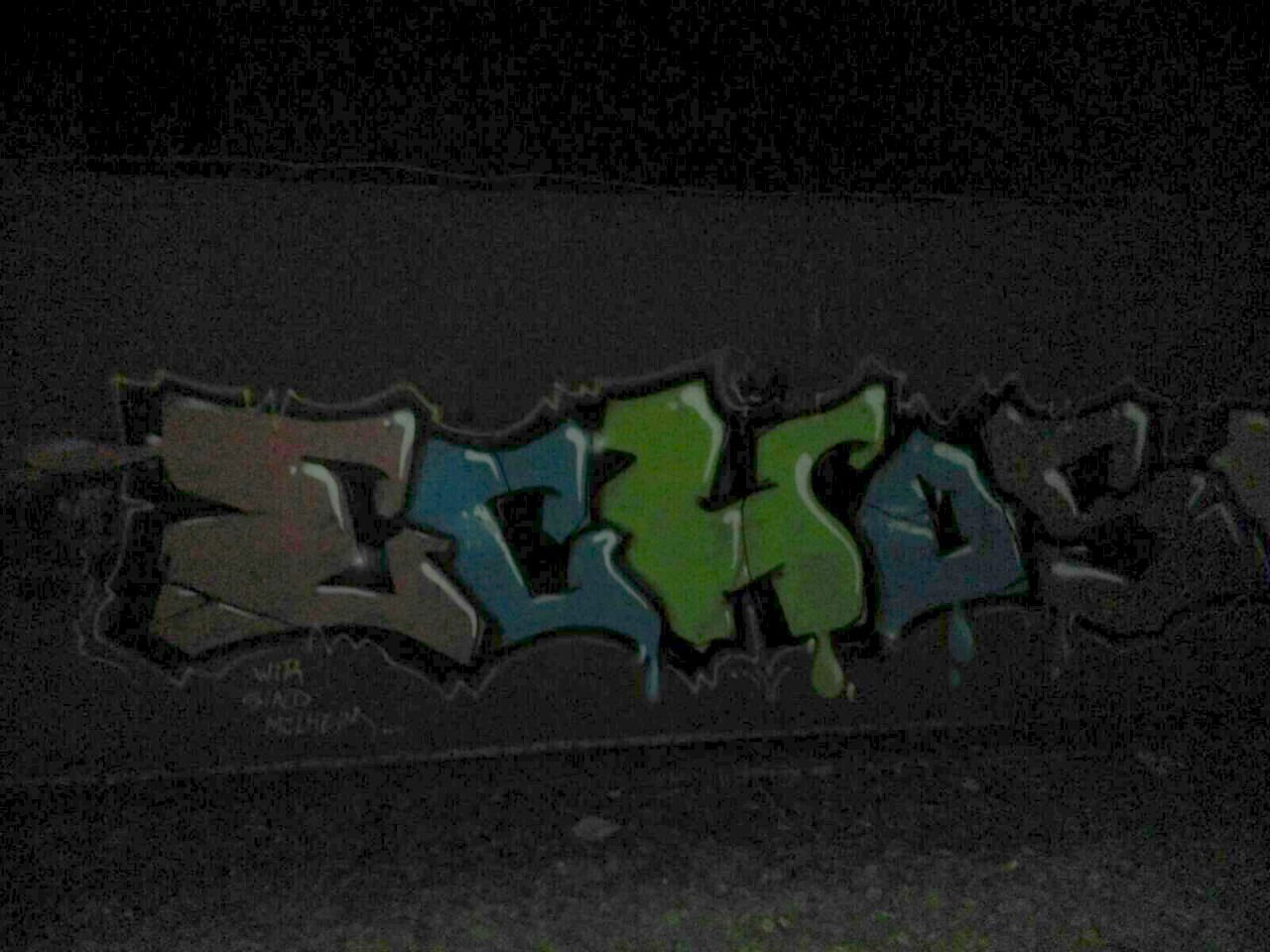 Graffiti Bombing - Photo by TagHagel - Echos, Echo, Wir