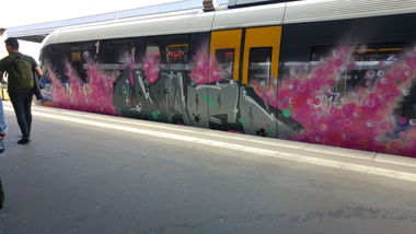 Graffiti Wall - Photo by TagHagel - essen, hoe, hoes (2017)