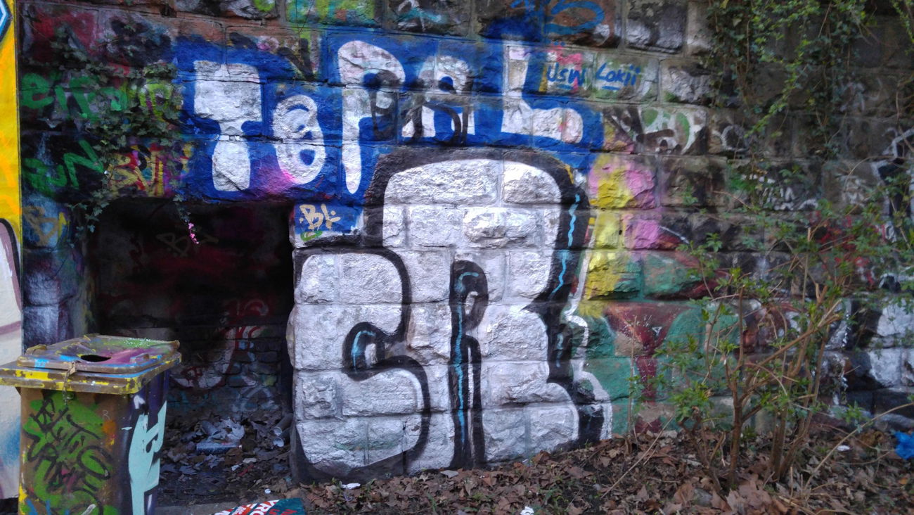 Graffiti Bombing - Photo by TagHagel - Cr, crs, az (2017)