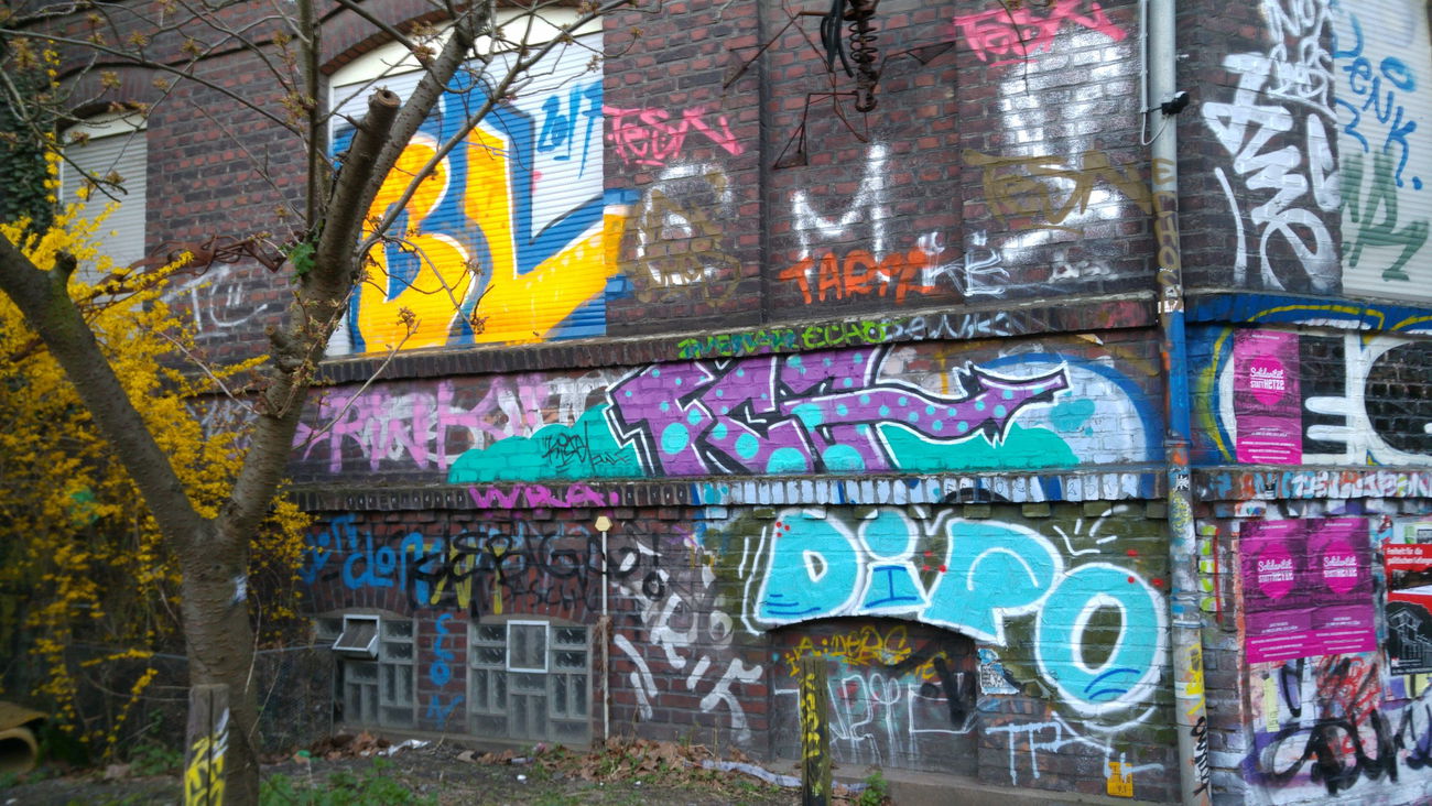 Graffiti Bombing - Photo by TagHagel - Fca, dip, bl (2017)