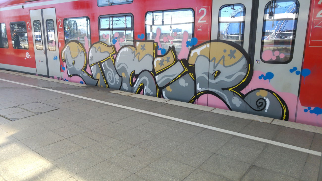 Graffiti Train - Photo by TagHagel - Raser, flop, pgv (2017)