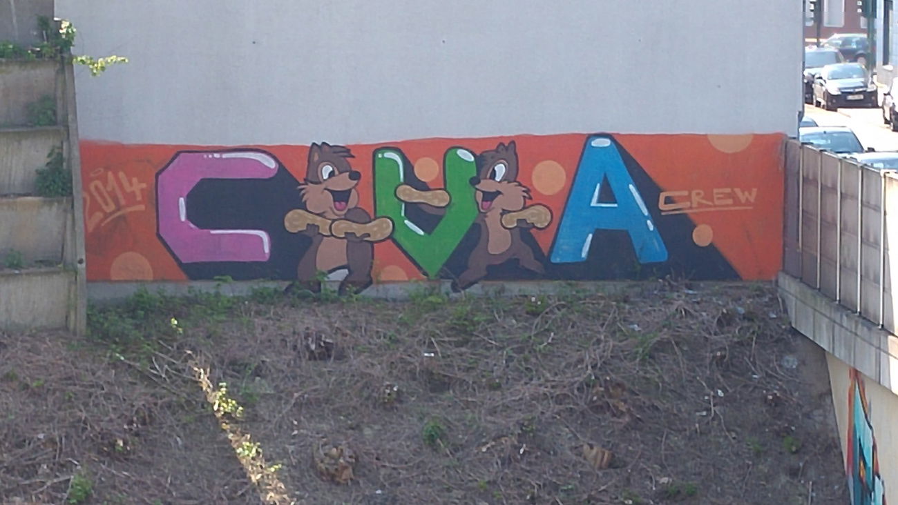 Graffiti Bombing - Photo by TagHagel - Cva, shik, shet (2014)