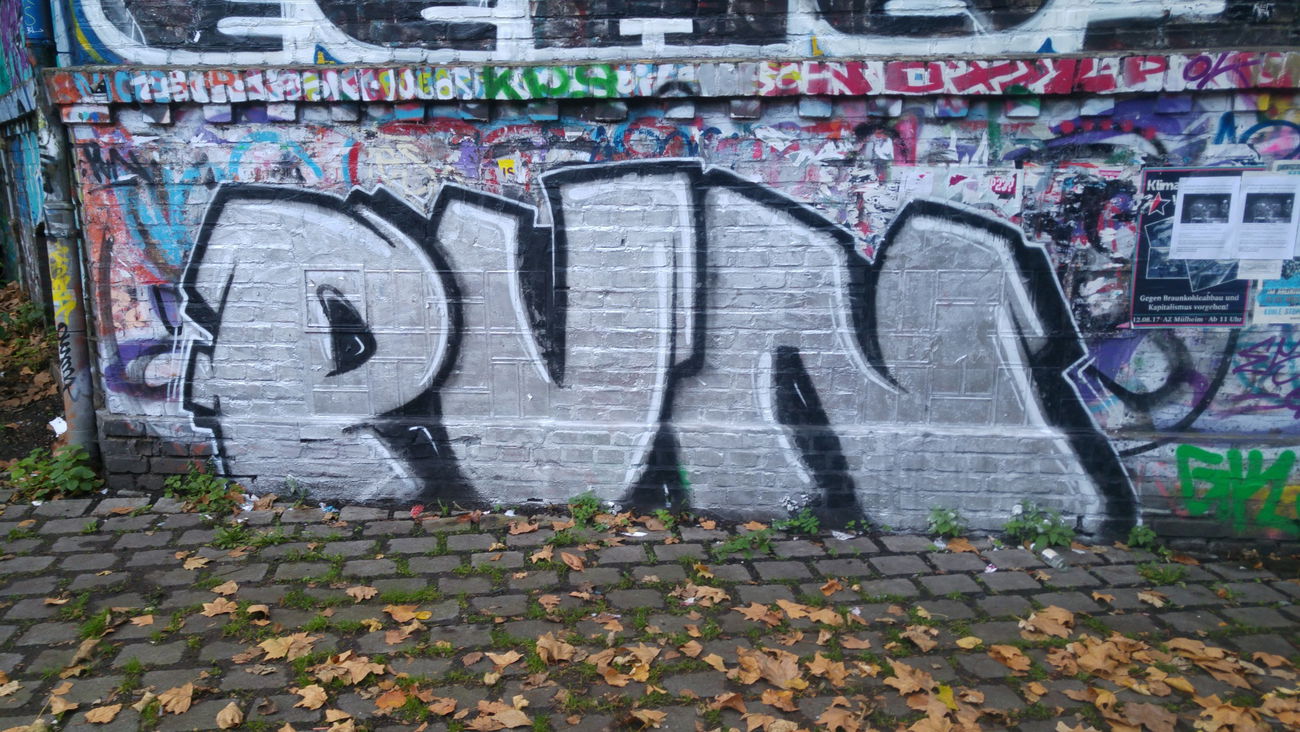 Graffiti Bombing - Photo by TagHagel - Pvn, zeig, tesn (2017)