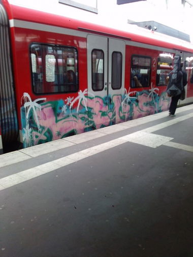 Graffiti Train - Photo by TagHagel (2015)