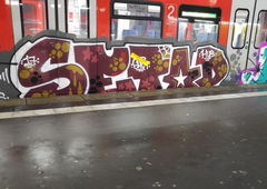 Graffiti Photo by TagHagel - Pubes, Nice, NC (2017)