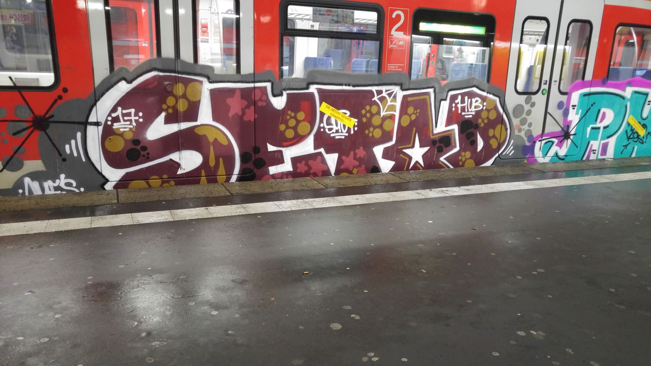 Graffiti Photo by TagHagel - Pubes, Nice, NC (2017)