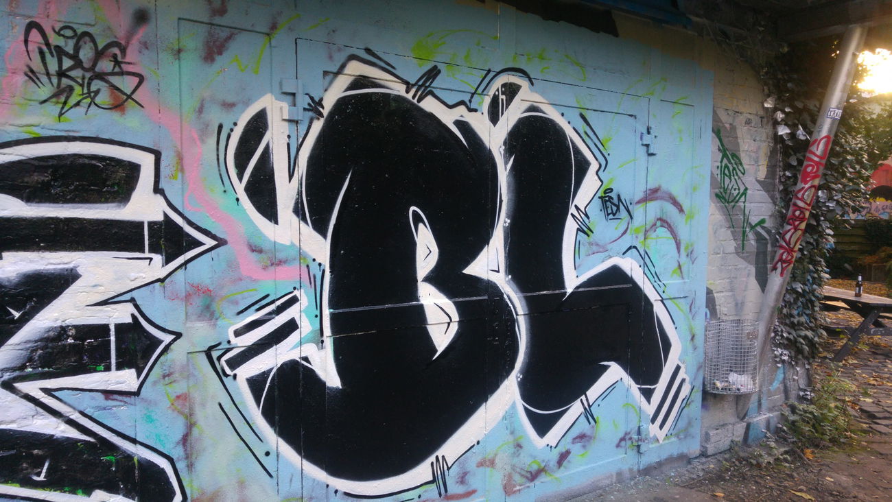 Graffiti Bombing - Photo by TagHagel - Bl, blutig, tesn (2017)