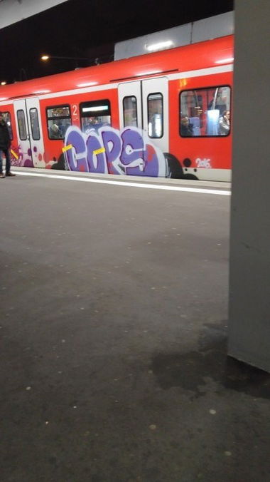 Graffiti Train - Photo by TagHagel - cops, 2016, essen (2016)