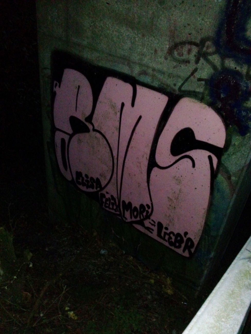 Graffiti Bombing - Photo by TagHagel - RMS, Elisa, Felix (2015)