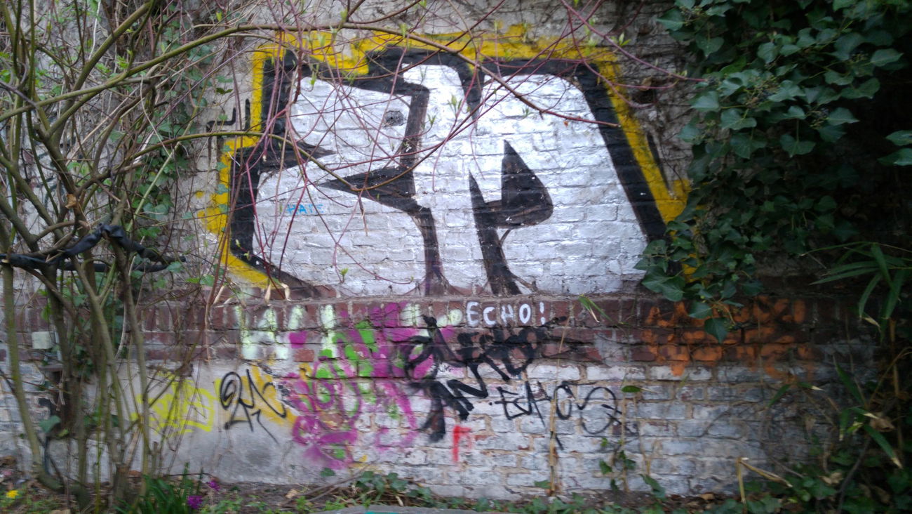 Graffiti Bombing - Photo by TagHagel - Zm, echo, echos (2016)