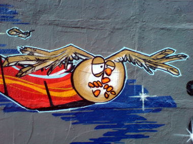 Graffiti Wall - Photo by Takoe - tako, eule, owl (2013)
