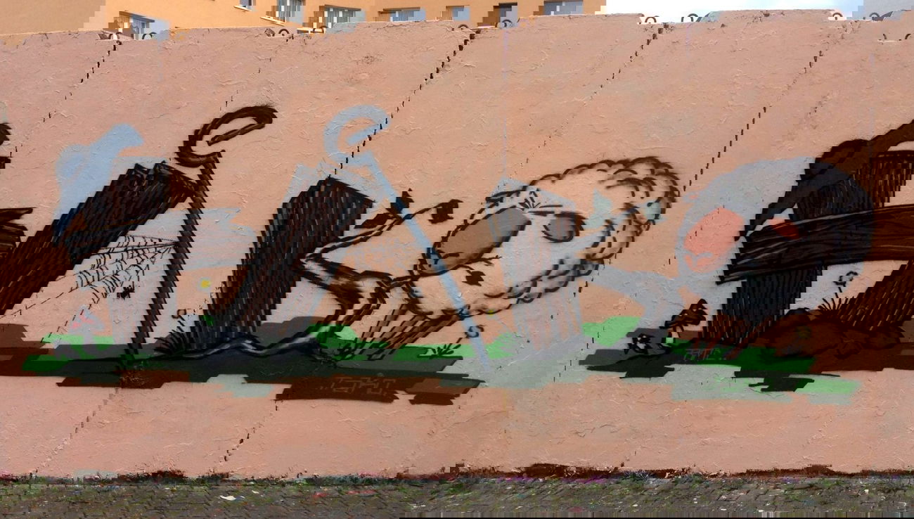 Graffiti Wall in Halle - Photo by Takoe - tako, Takoe, amc (2013)