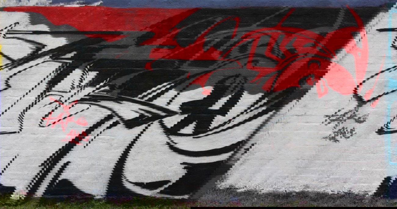 Graffiti Wall in Deutschland - Photo by Takoe - tako, takoe, amc (2015)