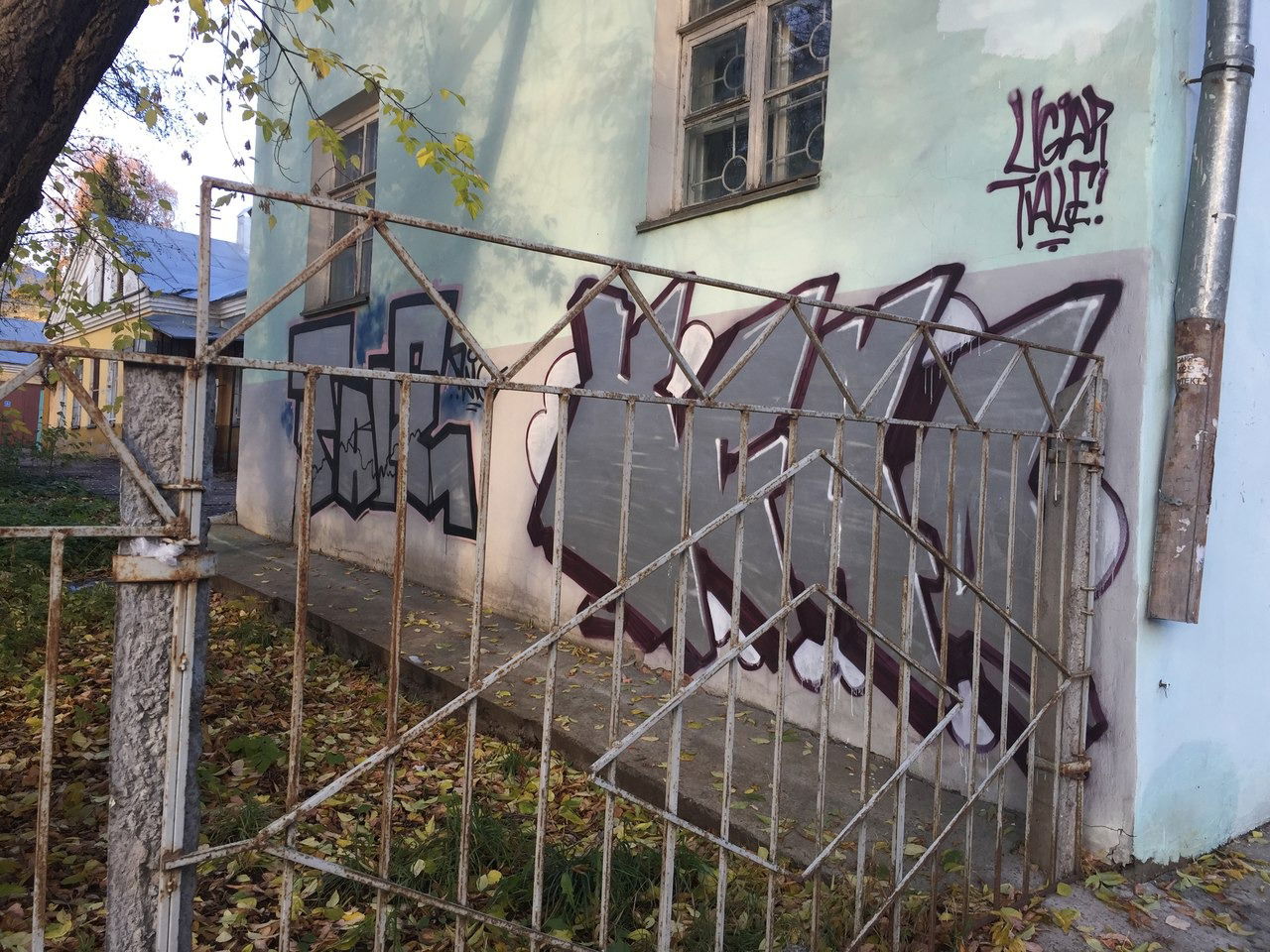 Graffiti Wall - Photo by Tale