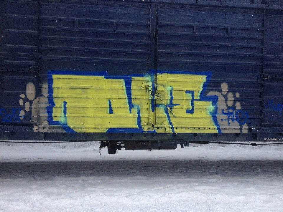 Graffiti Train - Photo by Tale