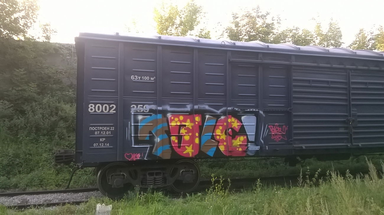 Graffiti Train - Photo by Tale