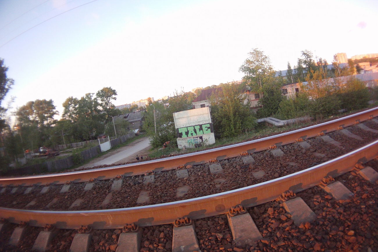 Graffiti Bombing - Photo by Tale