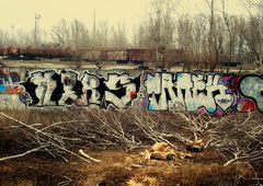 Photo #82481 by TagHagel