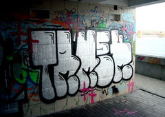 Photo #82484 by TagHagel