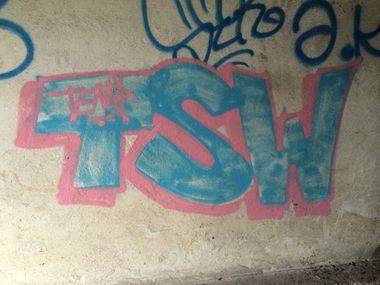 Graffiti Bombing - Photo by Tampalasc